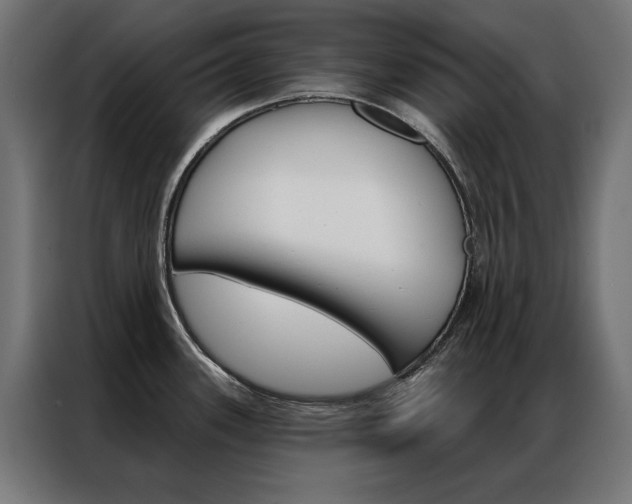 X0000086951339200704161049