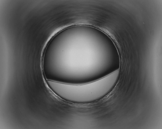 X0000086951342200704161049