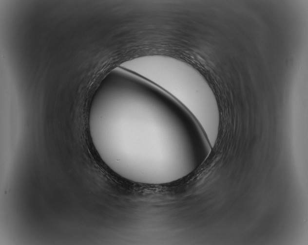 X0000086951345200704161048