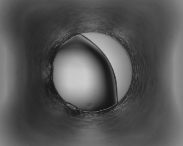 X0000086951349200704161048