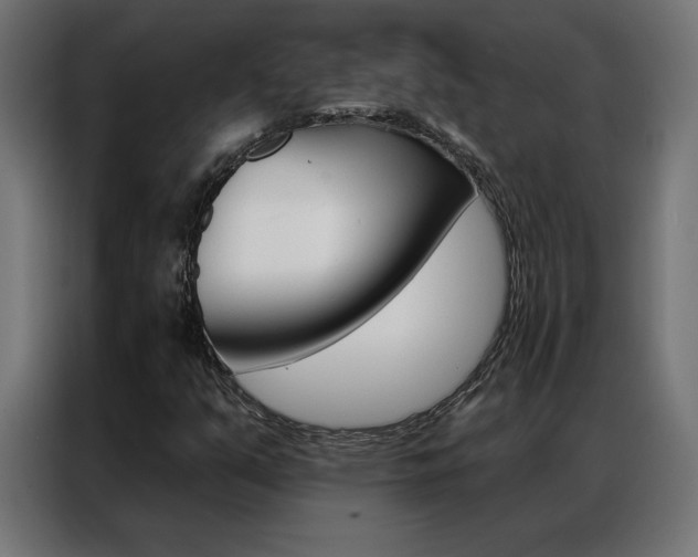 X0000086951351200704161048