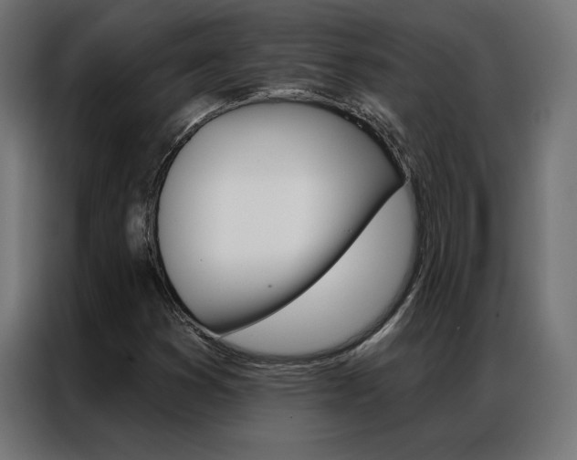 X0000086951353200704161048