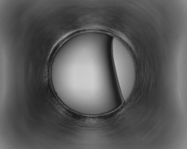 X0000086951364200704161048