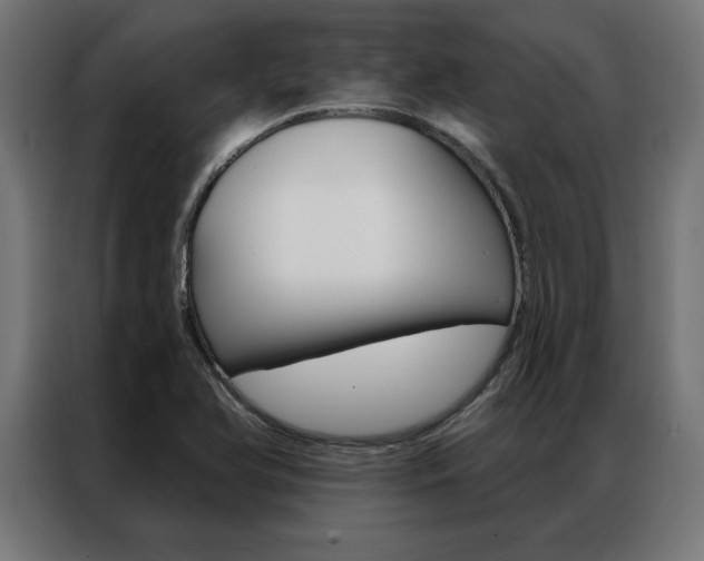 X0000086951366200704161048