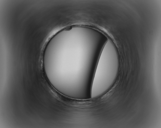 X0000086951367200704161048