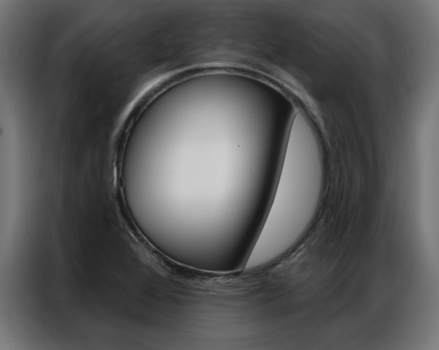 X0000086951368200704161048
