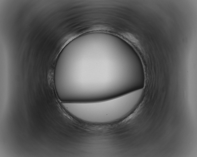 X0000086951369200704161048