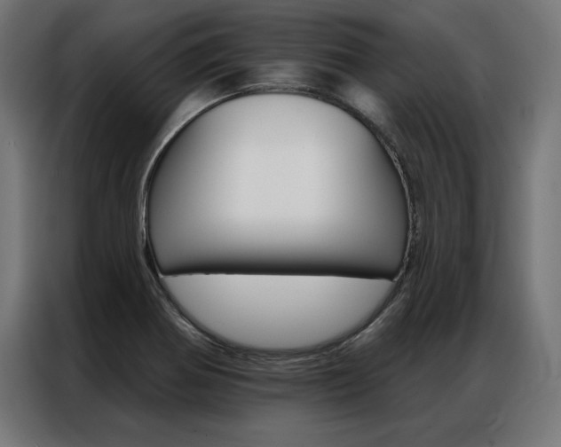 X0000086951370200704161048