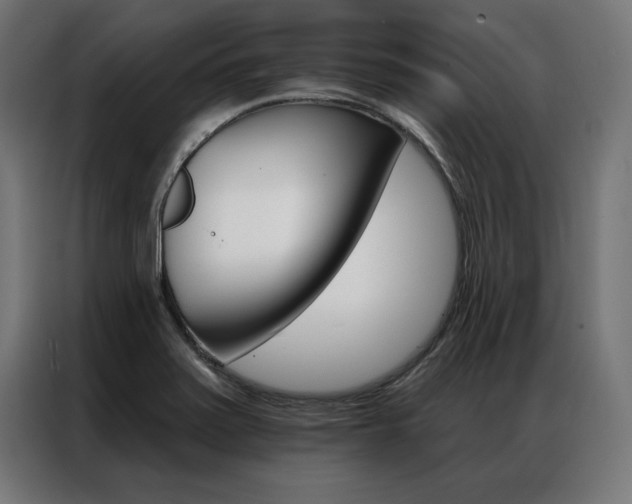 X0000086951371200704161048
