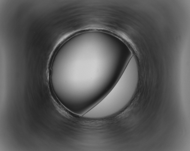 X0000086951372200704161048