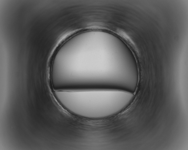 X0000086951376200704161047