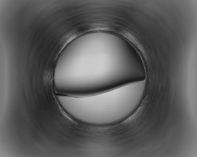 X0000086951377200704161047
