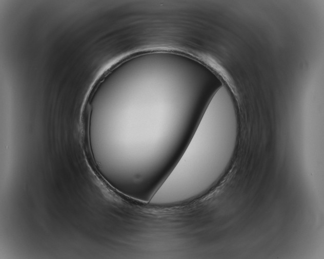 X0000086951380200704161047