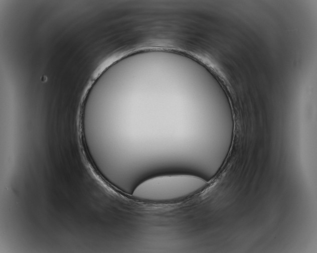 X0000086951382200704161047