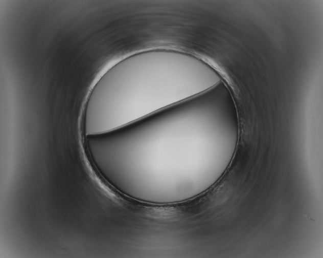 X0000086951383200704161047