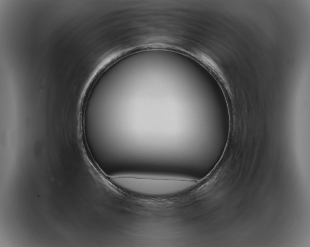 X0000086951384200704161047