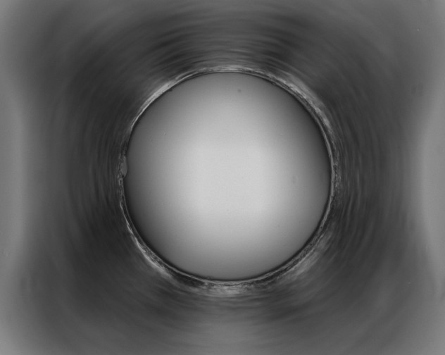 X0000086951385200704161047