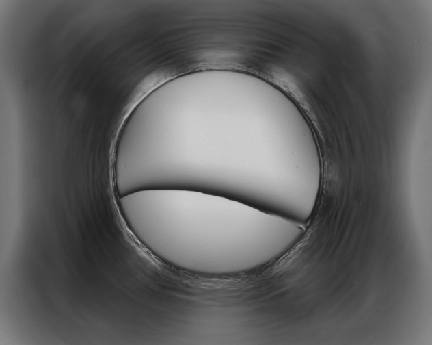 X0000086951386200704161047