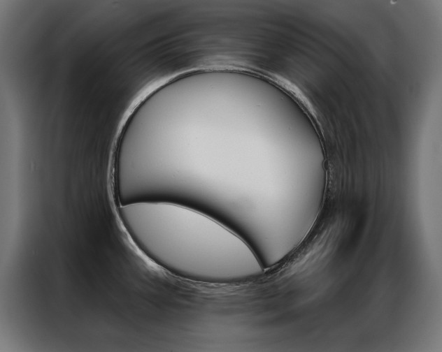 X0000086951387200704161047