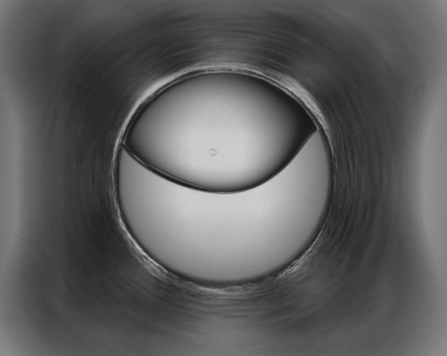 X0000086951388200704161047