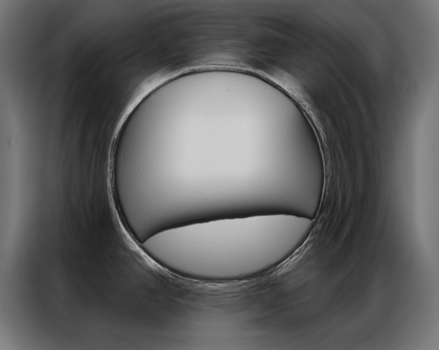X0000086951390200704161047