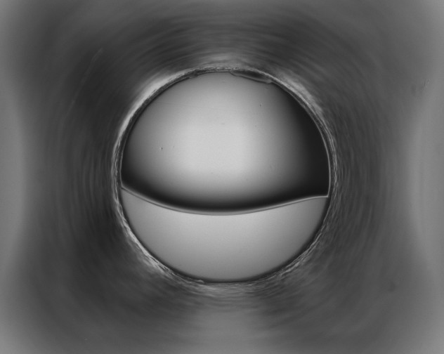 X0000086951392200704161047