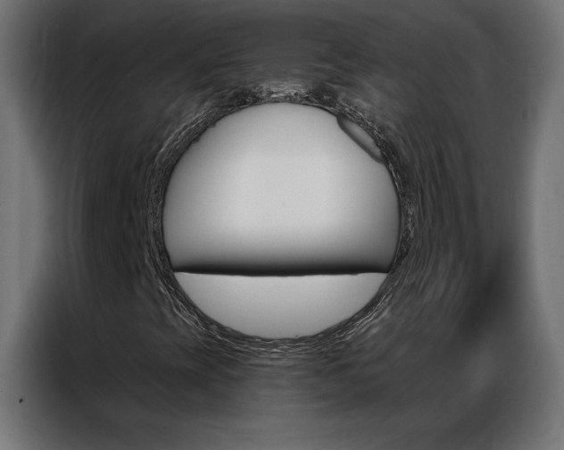 X0000086951393200704161047