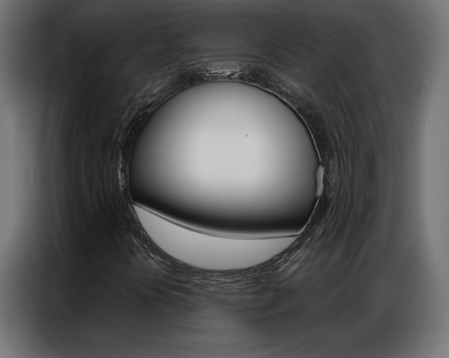 X0000086951394200704161047