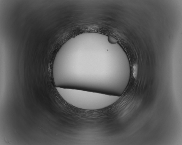 X0000086951395200704161047