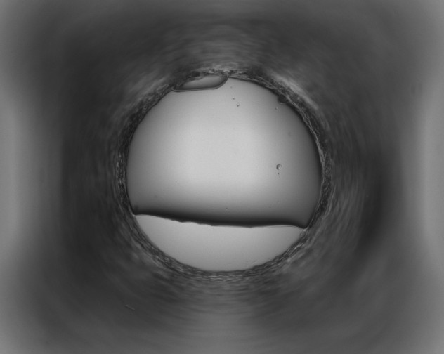 X0000086951399200704161047