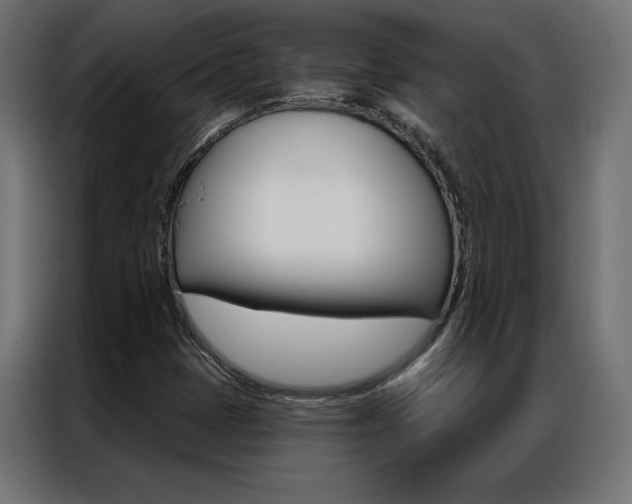 X0000086951401200704161047
