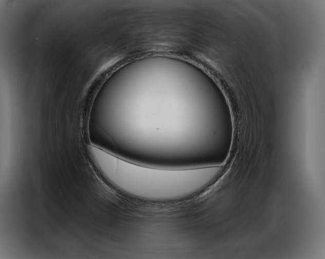 X0000086951402200704161047