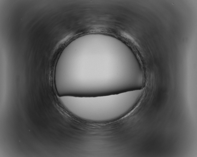 X0000086951403200704161047