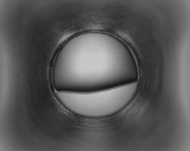 X0000086951404200704161047