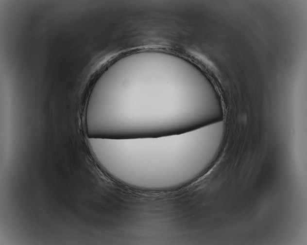X0000086951407200704161047