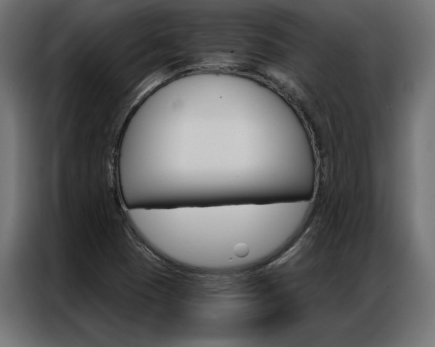 X0000086951409200704161047