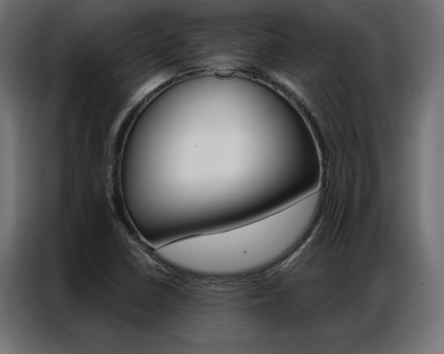 X0000086951410200704161047