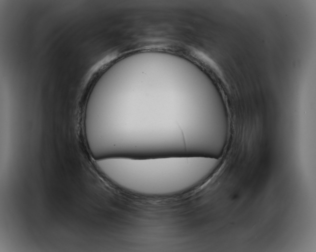 X0000086951411200704161047