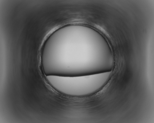 X0000086951413200704161047