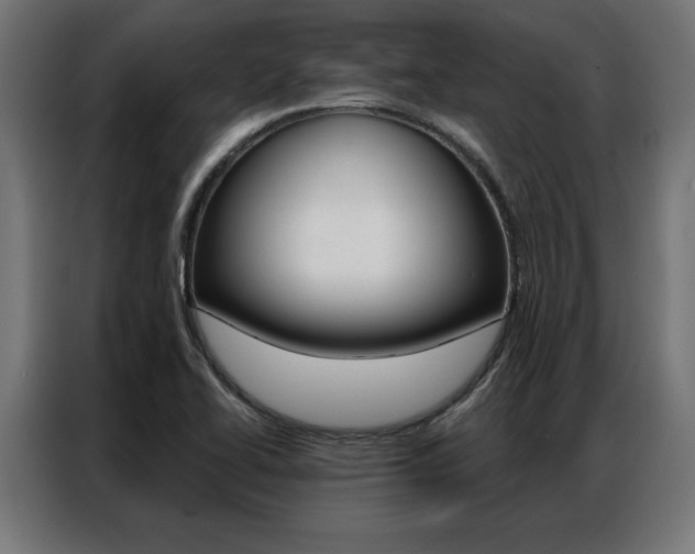 X0000086951414200704161047