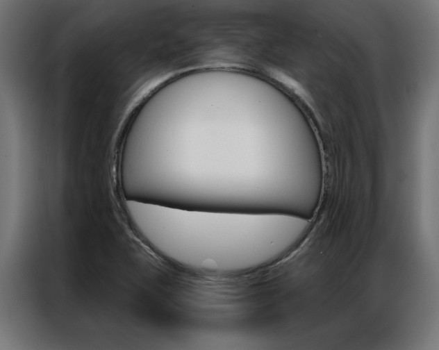 X0000086951415200704161047