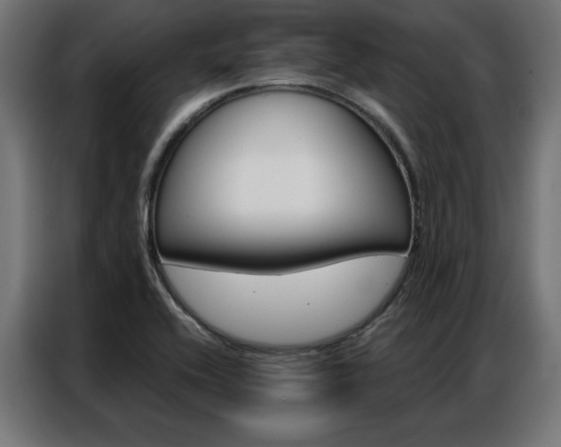 X0000086951416200704161047