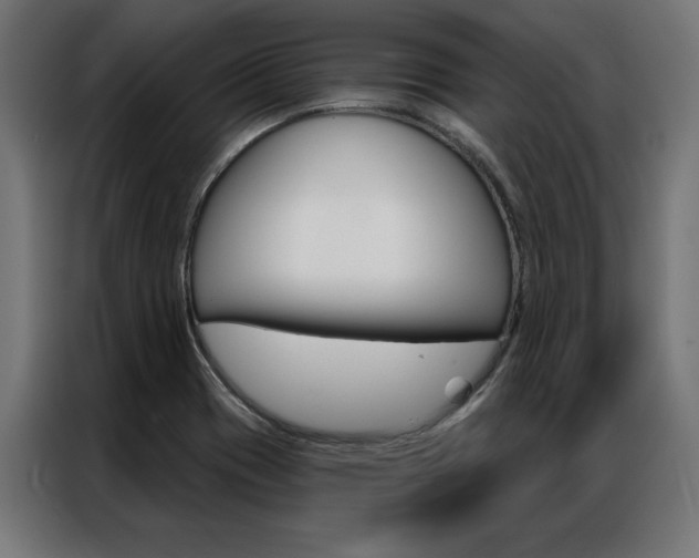 X0000086951417200704161047