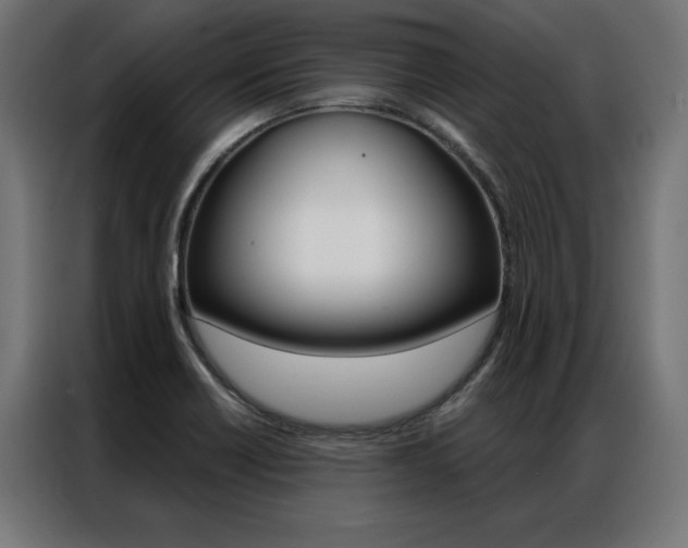 X0000086951418200704161047