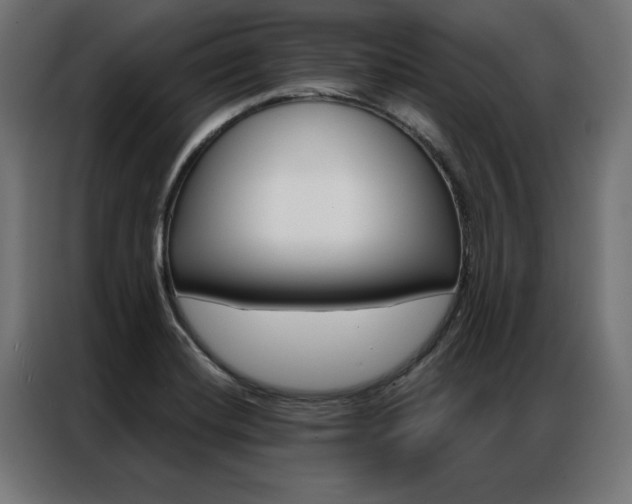X0000086951420200704161047