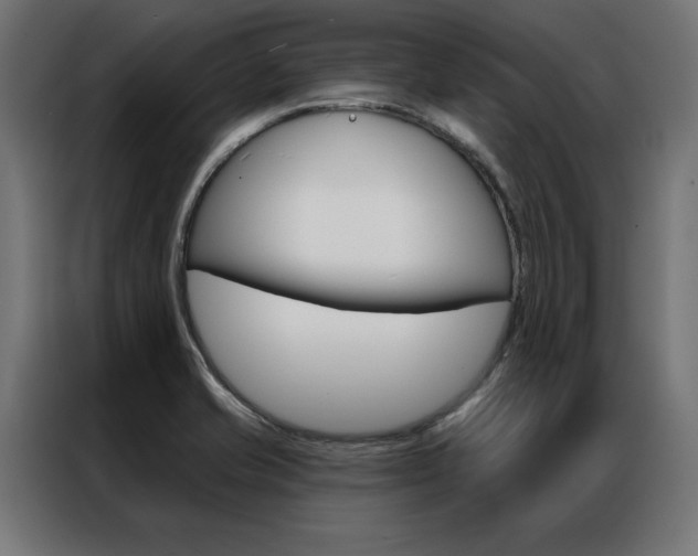 X0000086951421200704161047