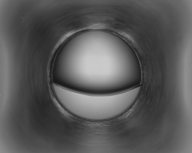 X0000086951422200704161047