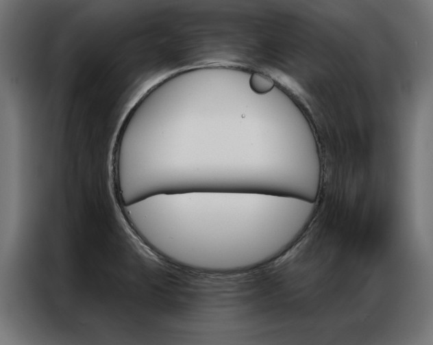 X0000086951423200704161047