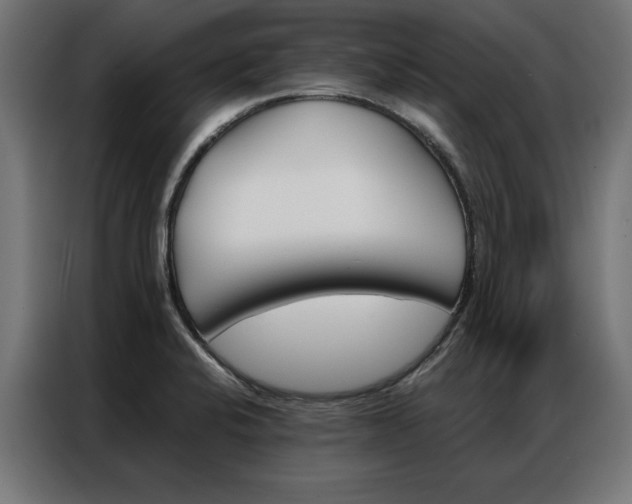 X0000086951424200704161047