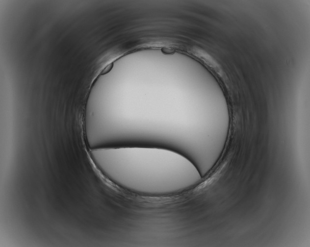 X0000086951425200704161047
